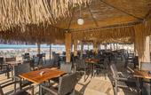 Туры в отель TUI Magic Life Jacaranda