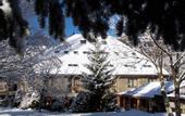 Туры в отель Hotel Casa Irene