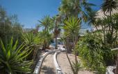 Туры в отель Pavlinia Hotel & Apartments
