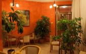 Туры в отель Alex Hotel