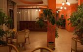 Туры в отель Alex Hotel