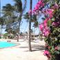 Туры в отель Palumboreef Beach Resort, оператор Anex Tour