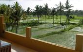 Туры в отель Green Field Hotel & Restaurant