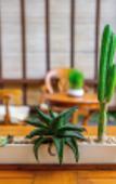 Туры в отель Klumpu Bali Resort Sanur