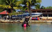 Туры в отель Seabreeze Hotel & Resort
