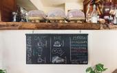 Туры в отель Hotel Casa Iguana Holbox
