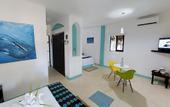 Туры в отель Hotel Villas Tiburon