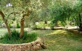 Туры в отель Thassos Hotel