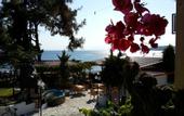 Туры в отель Thassos Hotel