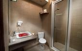 Туры в отель La Residence du Palmiste