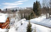 Туры в отель Hotel L`Arboisie Megeve