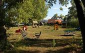 Туры в отель Chardim-Dubrava