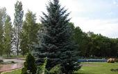 Туры в отель Chardim-Dubrava