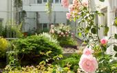 Туры в отель Egon Hotel Hamburg City