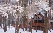 Туры в отель Mouse Inn ТК (Мышкино Подворье)