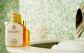 Туры в отель Relais & Chateaux Hotel Dresden Buelow Palais