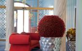 Туры в отель Relais & Chateaux Hotel Dresden Buelow Palais