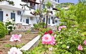 Туры в отель Hotel Telis