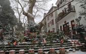 Туры в отель Kritsa Gastronomy Hotel