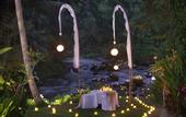 Туры в отель The Samaya Ubud - Bali