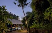 Туры в отель The Samaya Ubud - Bali