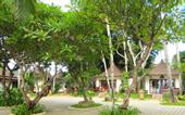 Туры в отель Chaweng Buri Resort