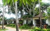 Туры в отель Chaweng Buri Resort