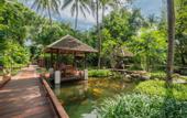 Туры в отель Chaweng Regent Beach Resort