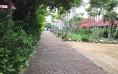 Туры в отель Chaweng Resort