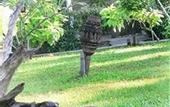 Туры в отель Chaweng Villa Beach Resort