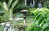 Туры в отель Chaweng Villa Beach Resort