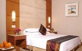 Туры в отель Pearl Garden Hotel