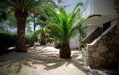 Туры в отель Avra Palm