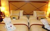 Туры в отель Al Diar Capital Hotel