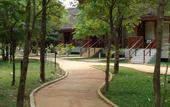 Туры в отель Occidental Paradise Dambulla