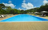 Туры в отель Occidental Paradise Dambulla
