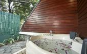 Туры в отель Occidental Paradise Dambulla