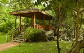 Туры в отель Occidental Paradise Dambulla