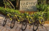 Туры в отель Chen Sea Resort & Spa