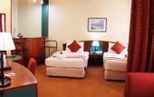 Туры в отель Al Diar Dana Hotel