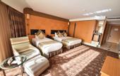 Туры в отель Istanbul Gonen Hotel