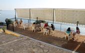 Туры в отель El Greco Hotel