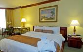 Туры в отель Wyndham San Jose Herradura Hotel & Convention Center