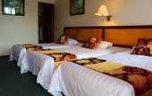 Туры в отель Hotel El Sesteo