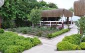Туры в отель Beyaz Suite Hotel
