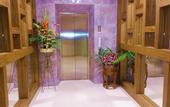 Туры в отель Orchid Resortel