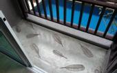 Туры в отель Balitaya Resort Naklua 12