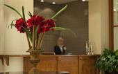 Туры в отель Chloe Hotel
