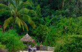 Туры в отель Zanzi Resort