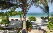 Туры в отель Next Paradise Boutique Resort